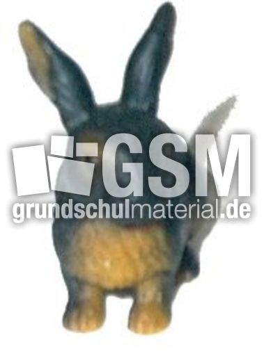 Hasen-1.jpg